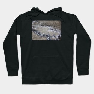 Seaside rock formation Hoodie